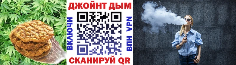 Canna-Cookies конопля  Купить где  Новый Уренгой