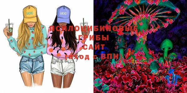 сатива Елабуга