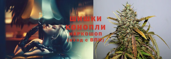 сатива Елабуга